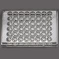 48 Well Cell Culture Plate, Flat, Non-Treated