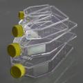 25cm2 Cell Culture Flask, Plug Seal Cap, TC